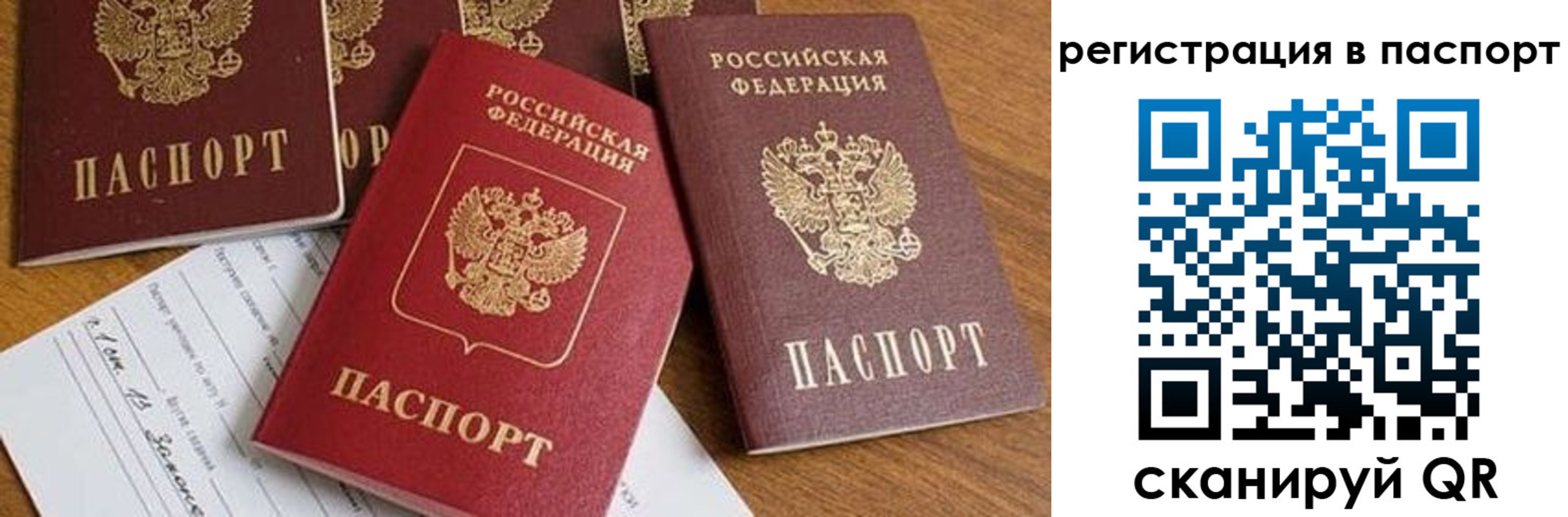 прописка в Зверево